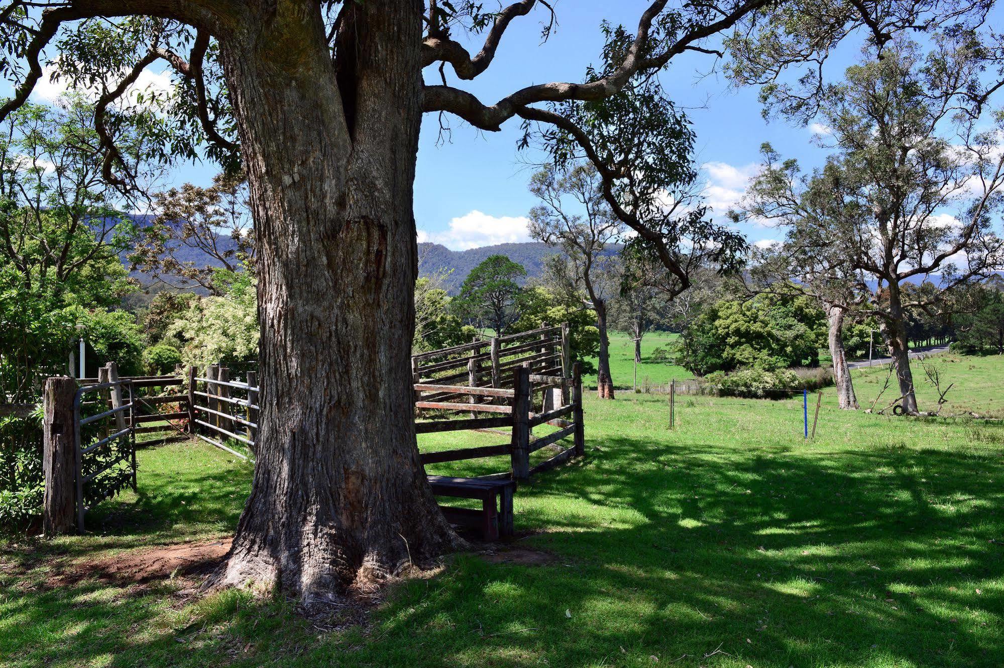 The Laurels B&B Kangaroo Valley Exteriér fotografie